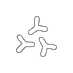 ビフィズス菌BB536（B.longum)
