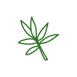 クマイザサ由来ホロセルロース