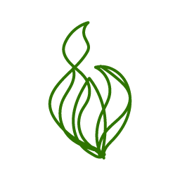 海苔オリゴペプチド(ノリペンタペプチド(AKYSY)として)