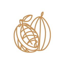 カカオポリフェノール(フラバノールとして)