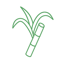 キューバ産サトウキビ由来ポリコサノール