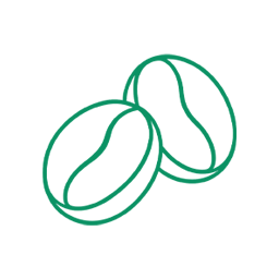 コーヒー豆マンノオリゴ糖