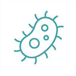 乳酸菌CP1563株由来の10-ヒドロキシオクタデカン酸