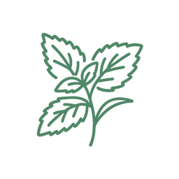 ロスマリン酸、カルノシン酸・カルノソール