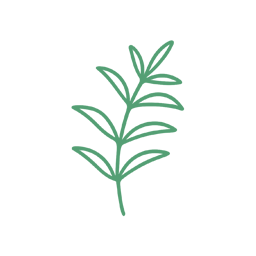 ベルバスコシド