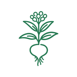 マカエキス（指標成分；5‐アセチル-1-ベンジルピロリジン-2-オン、ピログルタミン酸）