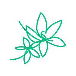 杜仲葉由来ゲニポシド酸