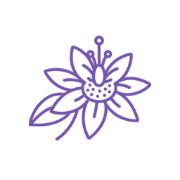 筋骨草由来20-ヒドロキシエクジソン