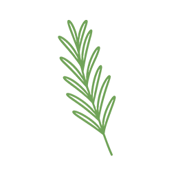 ローズマリー由来ロスマリン酸