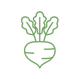 ラブレ菌(Levilactobacillus brevis KB290)